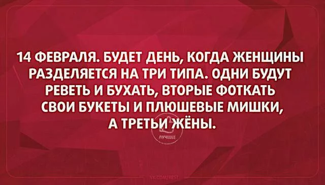 ad4ccd.webp