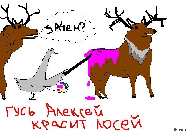 ad5hhc.jpg
