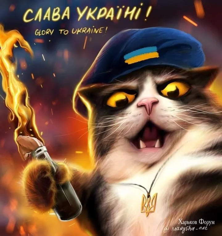 ad74a87d3738e32811.webp