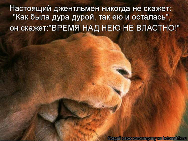 ad7a2afaf858eeae2712a99911d05641.jpg