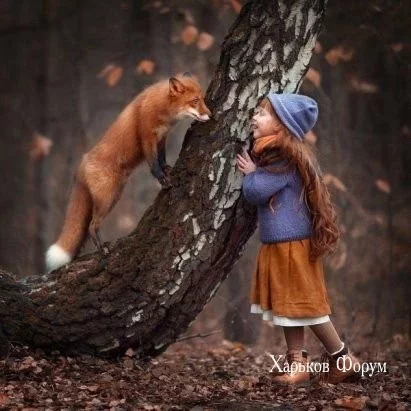 ad7acad17f04994bdcd.webp