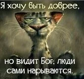 ad7fba.webp