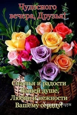 ad87bc377ed87881b.webp