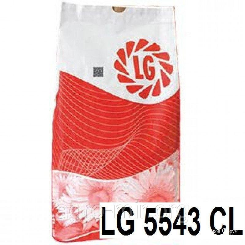 ad89d194cb0e4a8ef.jpg