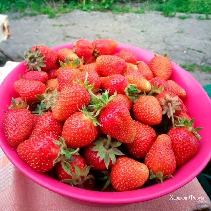 ad96a06540d75cf27979.webp