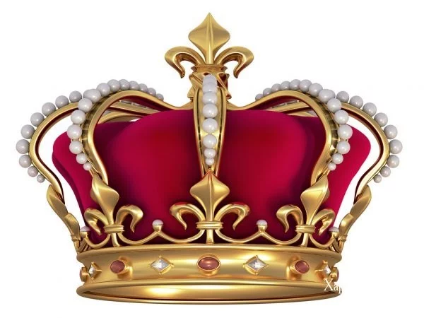 ad9791549f753051a8c011fd.webp