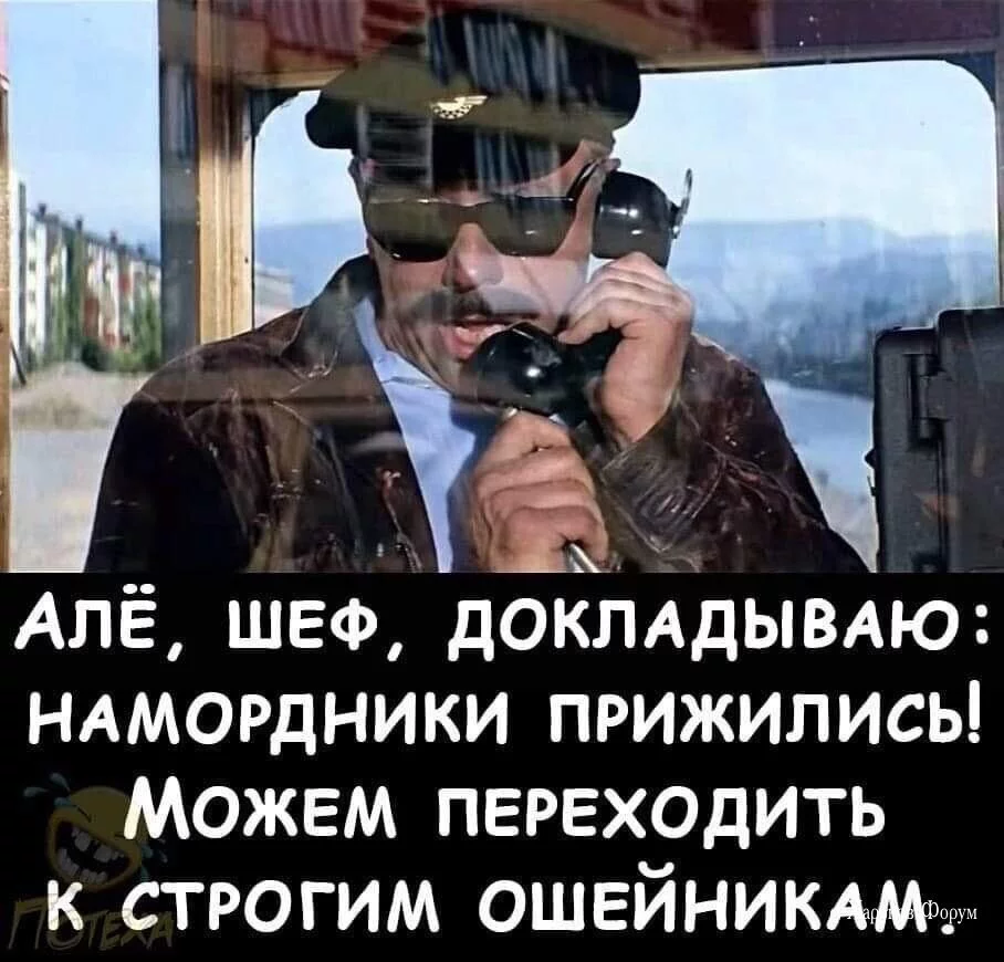 ad98fda15c4a58a14ab01dd.webp