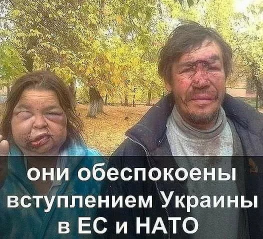 ad9abg.webp