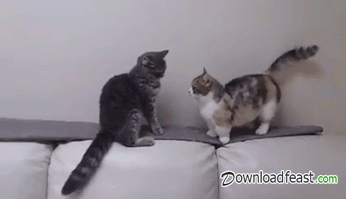 adabe5.gif