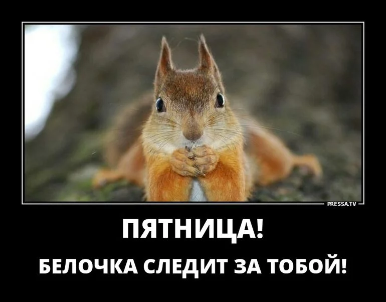 adag4g.webp