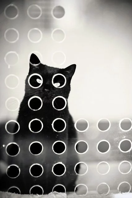 adda0b.webp