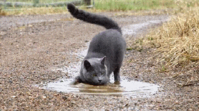 addb3c.gif