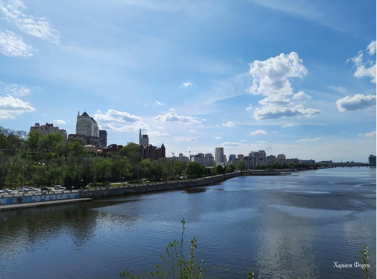 adf59a9e4563bcd70f1fe150.webp