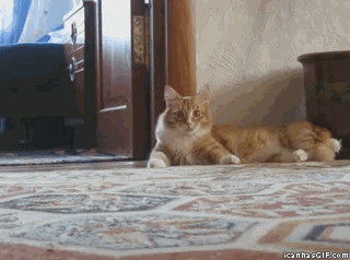 adhee6.gif