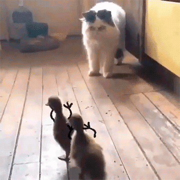adhjj0.gif