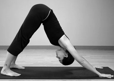 adho-mukha-svanasana.webp