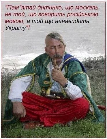 adj8ce.webp