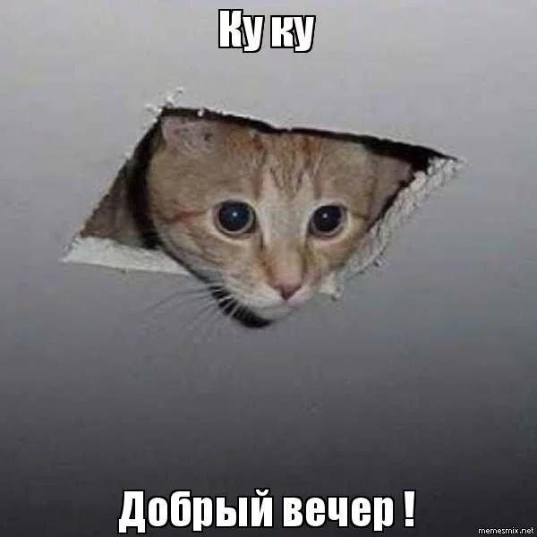 adje6j.webp