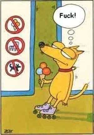 adog.webp
