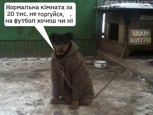 ae0gbe.webp