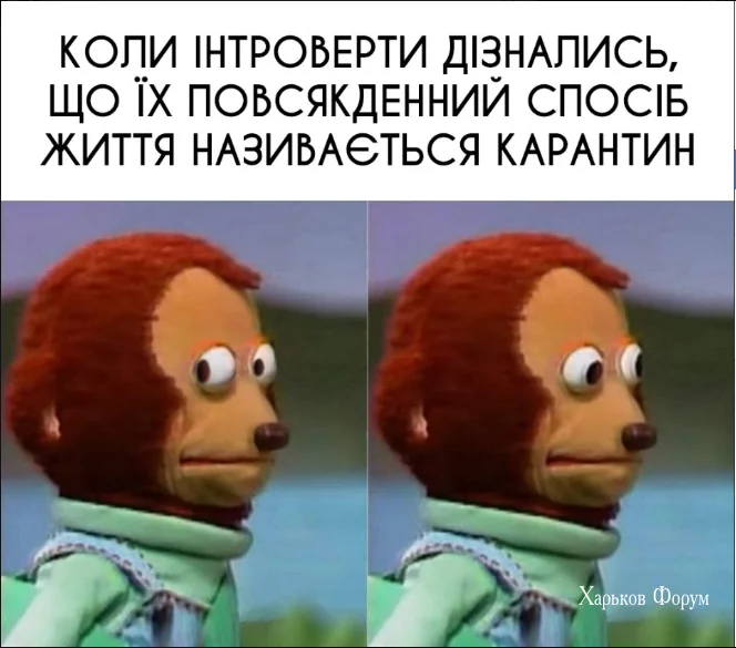ae170a1771eb17f6.webp
