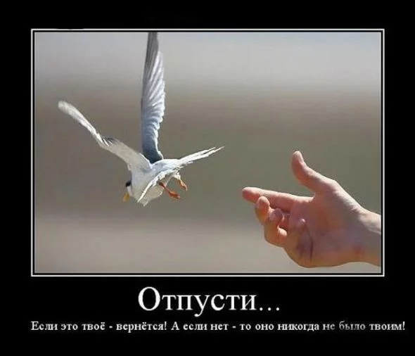 ae19e30bc06cdfcd85df783de273f805.webp
