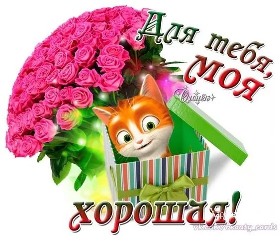 ae1ff3f114faa6cf8ba40aa.webp