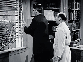 ae3a1579a8c1a715f5b32122632a3ba974c958f3.gif