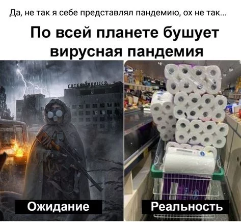 ae4594dc6c833541878c5ac0fb1063a7.webp