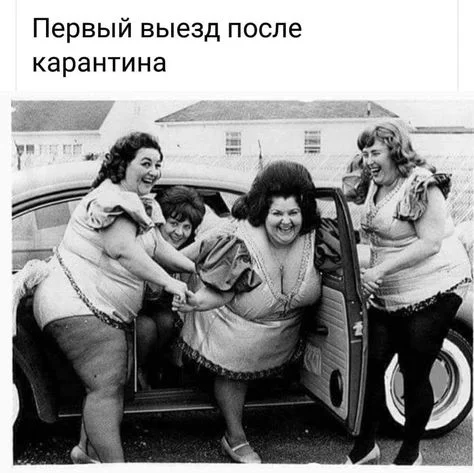 ae505023137916888166e61798d6b499.webp