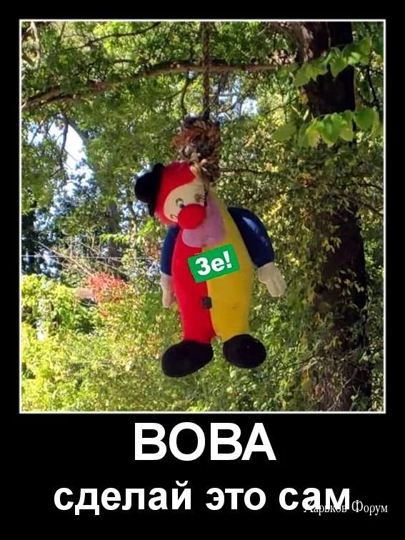 ae56b630ccc3391f12d.webp