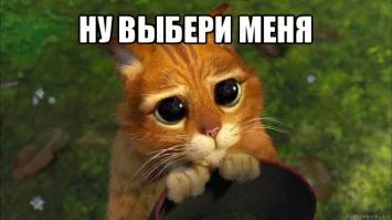 ae5cfg.webp