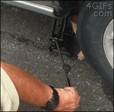 ae659f4fc99f5e323e518dda747c1eae.gif