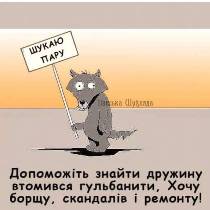 ae6ffh.webp