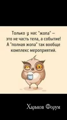 aea6fc293404fb470d9c.webp