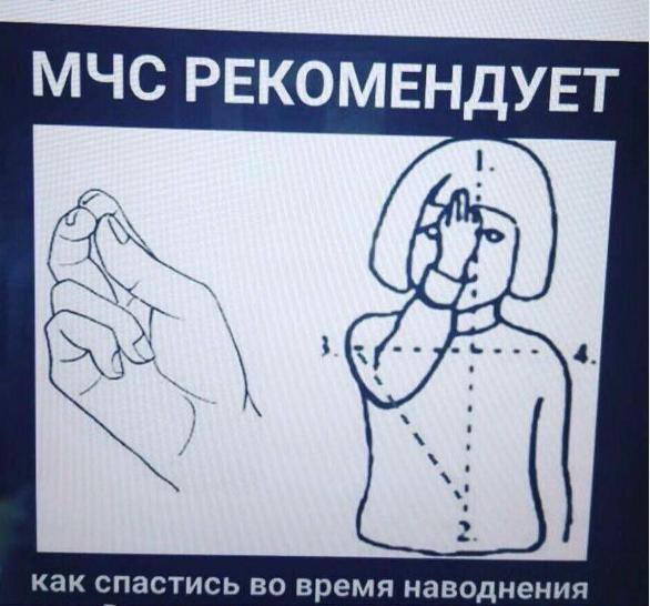 aeaja9.jpg