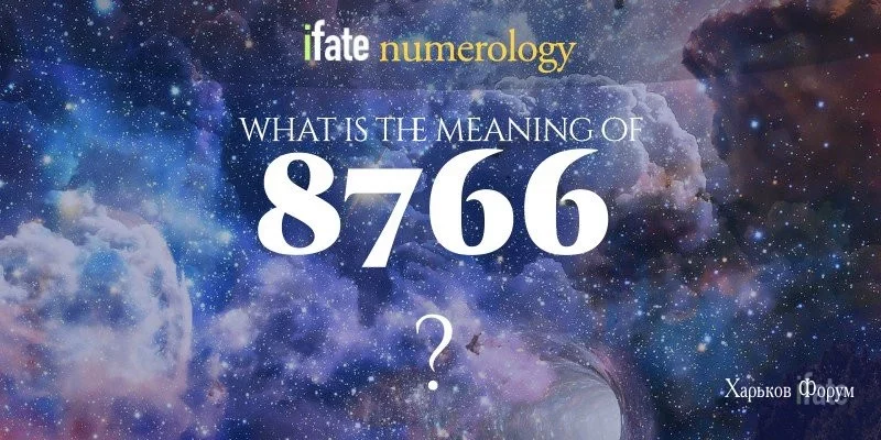 aeba87af0d39672a.webp