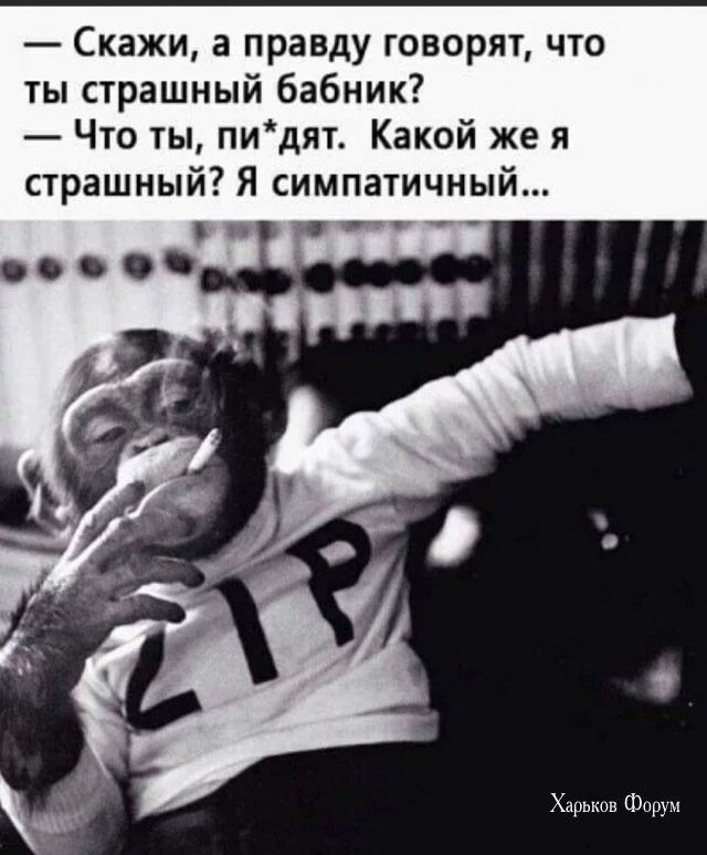 aed30299451b5f3084.webp