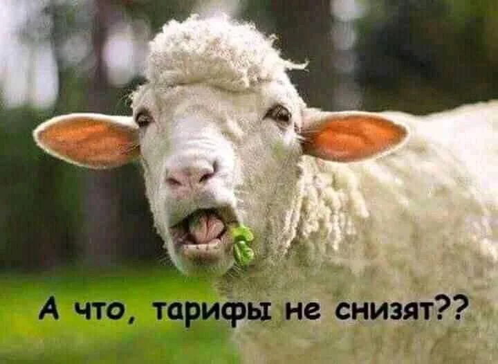 aedbb9.webp