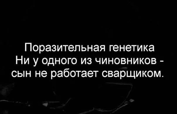aede0a.webp