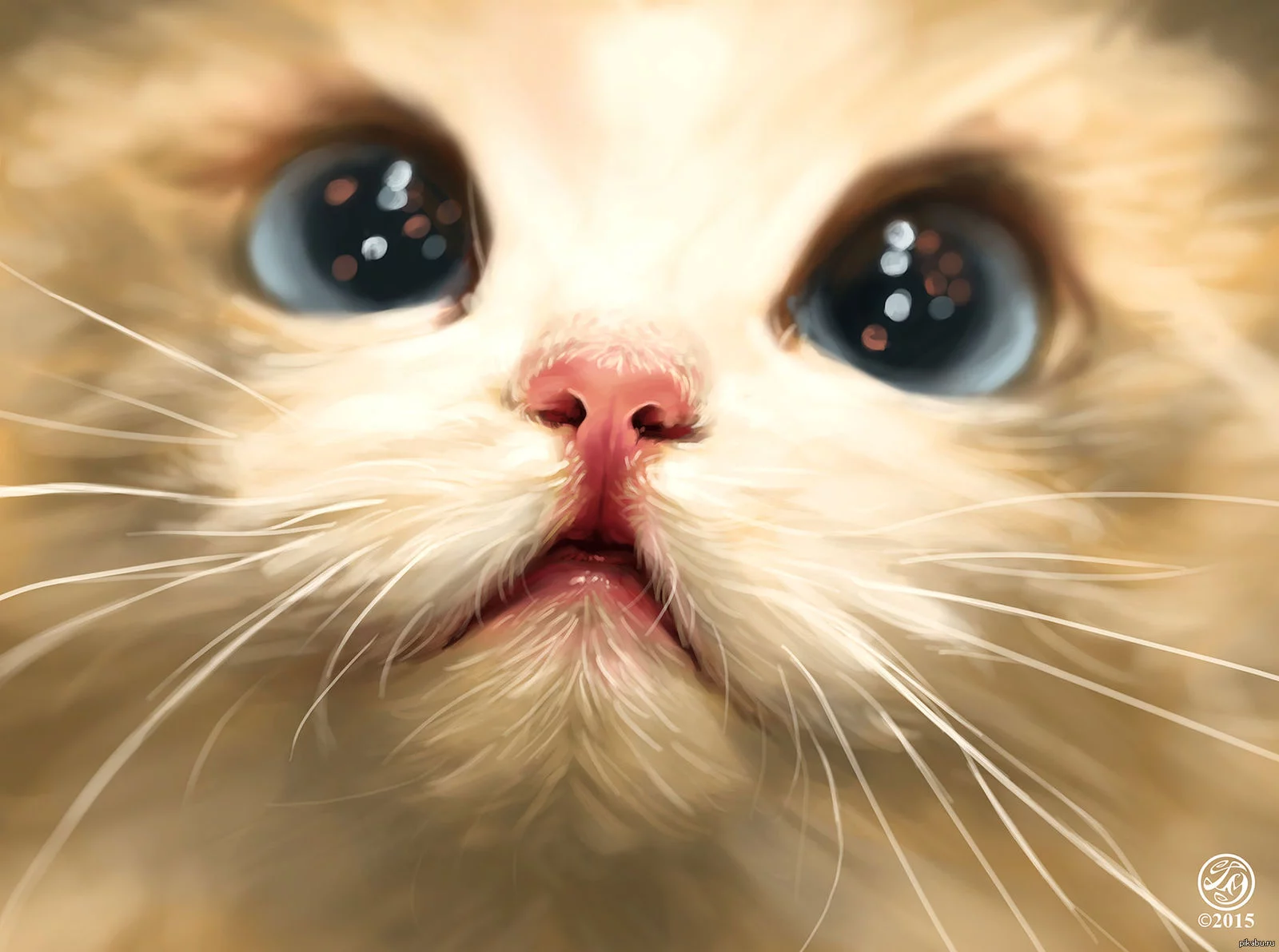 aee7cb.webp