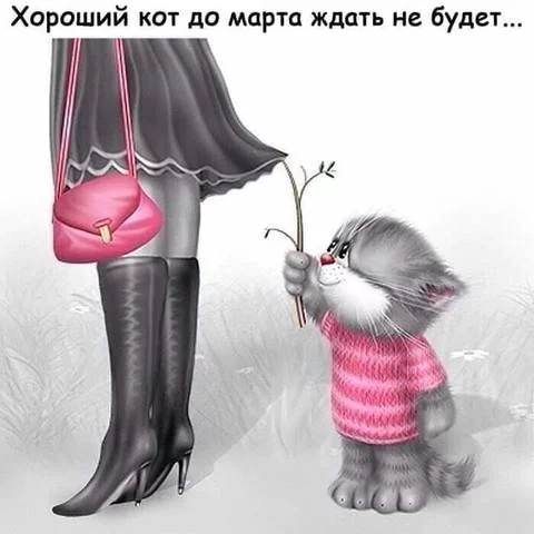aefa9e.webp