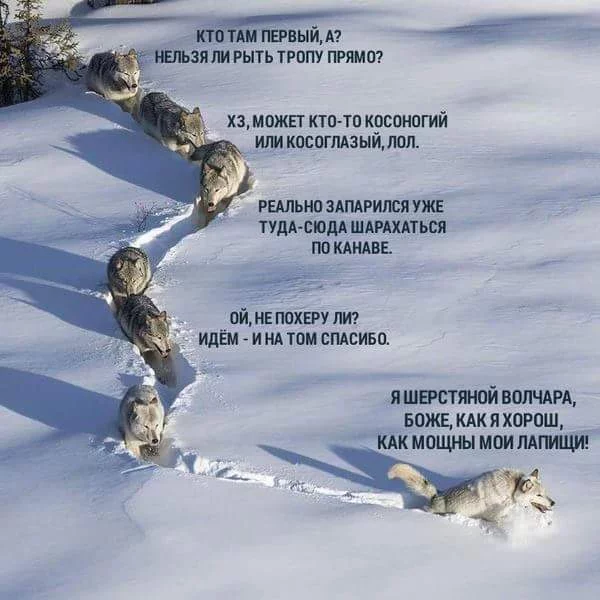 aefje3.webp