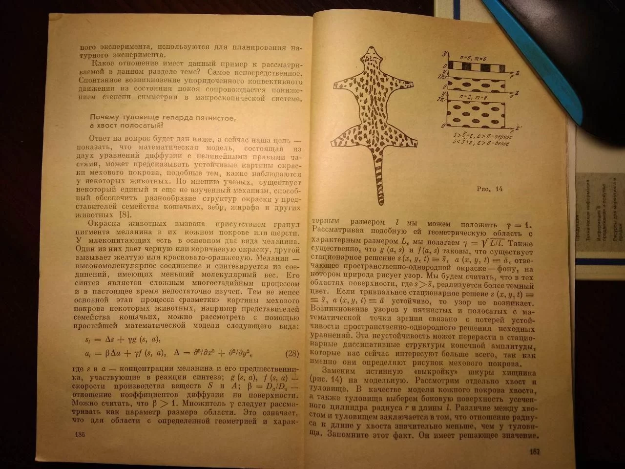 aegga2.webp