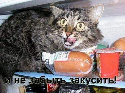 aeh0cj.webp