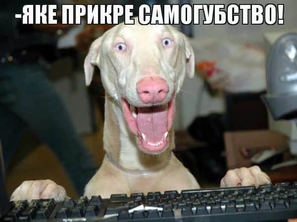 aejhj3.webp