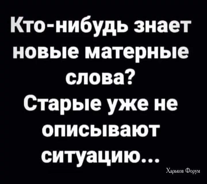 af035819dabd49a1c.webp