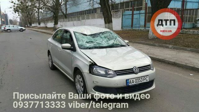af2bab.webp