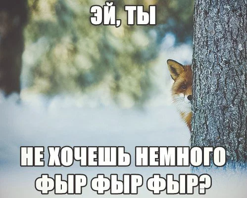 af3ada.webp