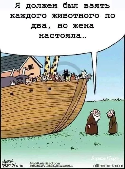 af4635477fdf1f32.webp